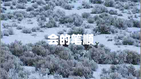 會(huì)的筆順