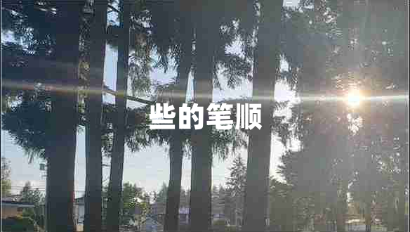 些的筆順