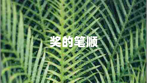 獎(jiǎng)的筆順