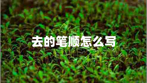 去的筆順怎么寫