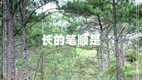 長的筆順是