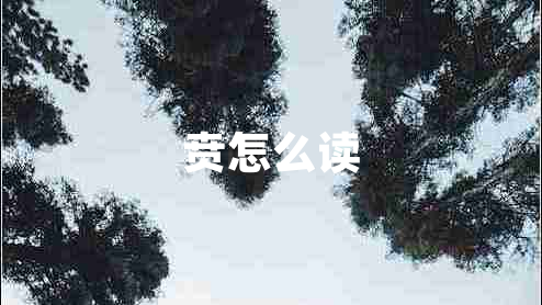 賁怎么讀