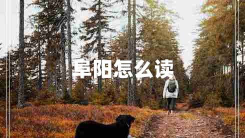 阜陽怎么讀