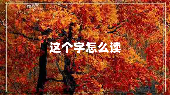 這個字怎么讀