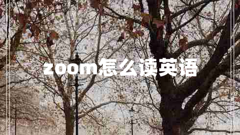 zoom怎么讀英語