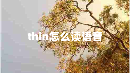 thin怎么讀語音