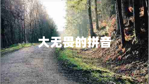 大無畏的拼音