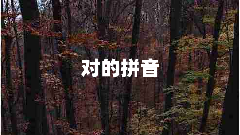 對(duì)的拼音