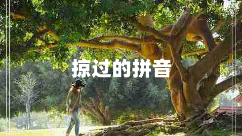 掠過的拼音