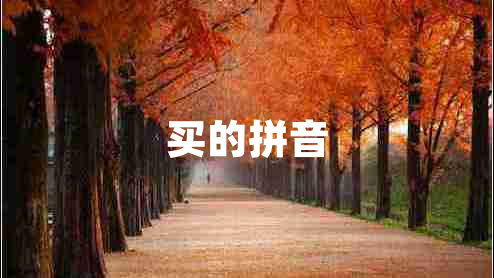 買的拼音