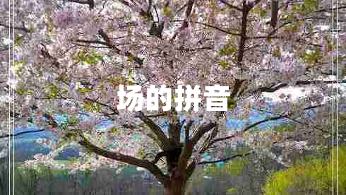 場的拼音