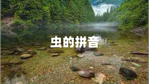 蟲的拼音