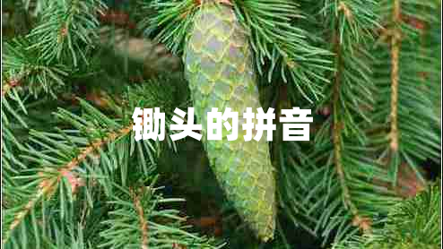 鋤頭的拼音