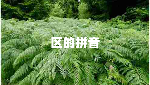 區(qū)的拼音