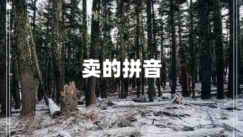 賣的拼音