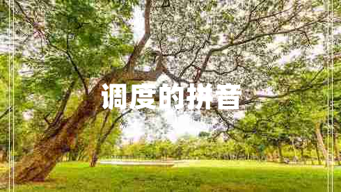 調(diào)度的拼音