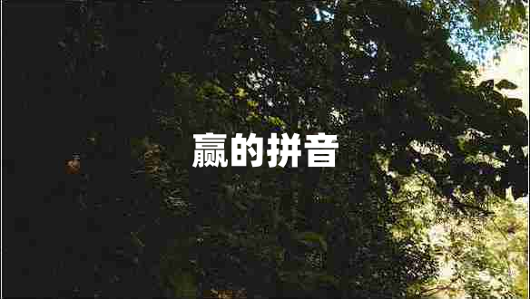 贏的拼音