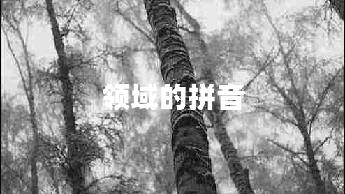 領域的拼音