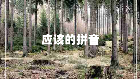 應(yīng)該的拼音