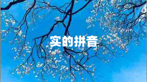 實的拼音