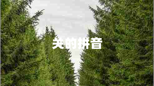關的拼音