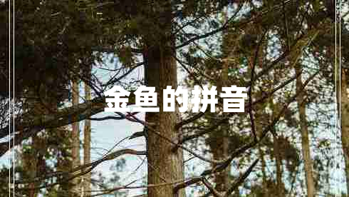 金魚的拼音