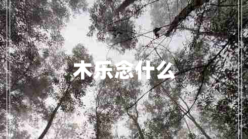 木樂念什么