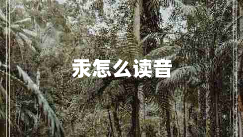 汞怎么讀音