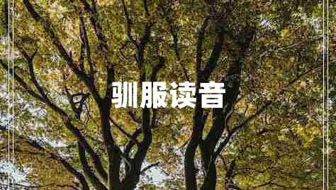 馴服讀音