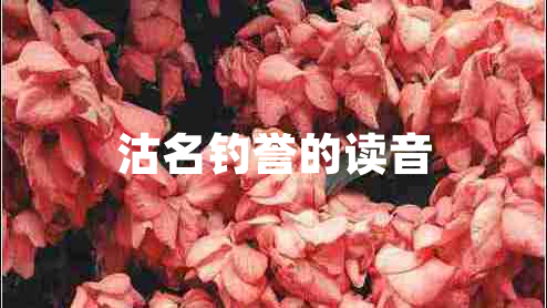 沽名釣譽(yù)的讀音
