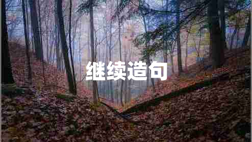繼續(xù)造句