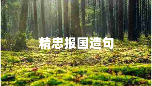 精忠報(bào)國造句