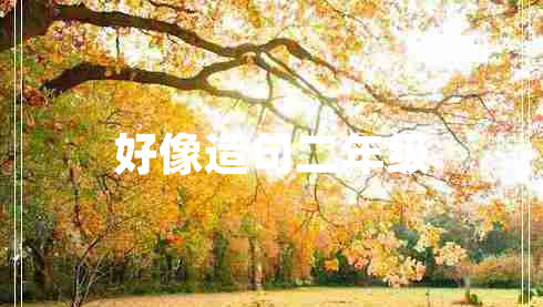 好像造句二年級(jí)