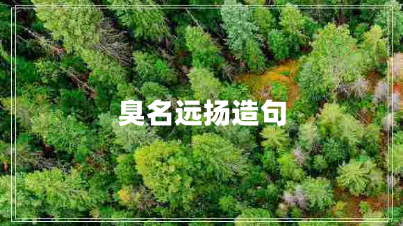 臭名遠(yuǎn)揚(yáng)造句