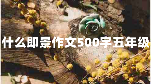 什么即景作文500字五年級(jí)