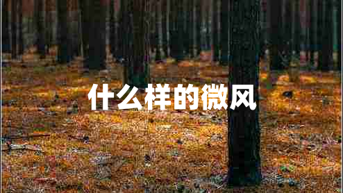 什么樣的微風