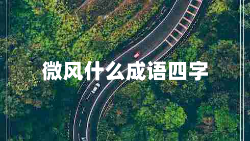 微風(fēng)什么成語四字