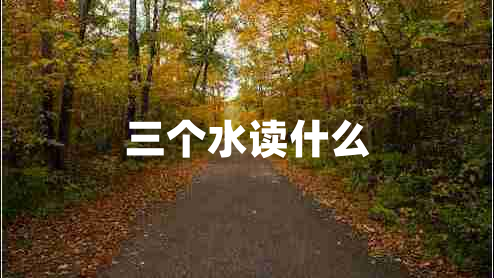 三個水讀什么