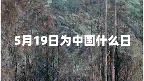5月19日為中國(guó)什么日