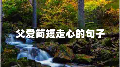父愛簡短走心的句子