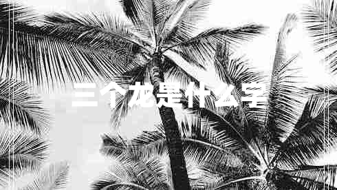 三個(gè)龍是什么字