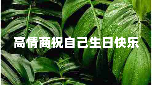 高情商祝自己生日快樂(lè)