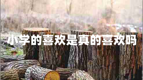 小學的喜歡是真的喜歡嗎