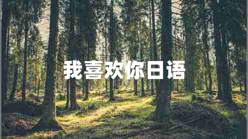 我喜歡你日語