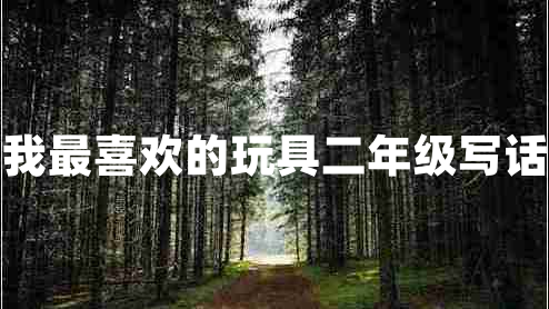 我最喜歡的玩具二年級(jí)寫話