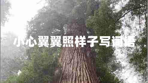 小心翼翼照樣子寫詞語