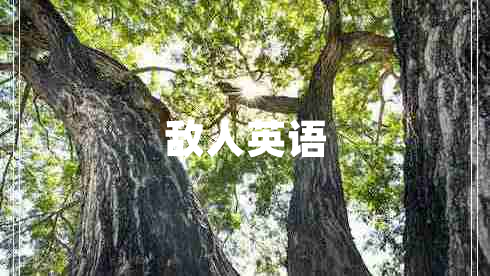 敵人英語