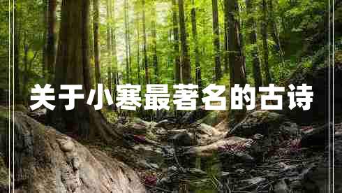 關于小寒最著名的古詩