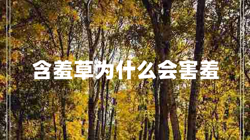 含羞草為什么會(huì)害羞