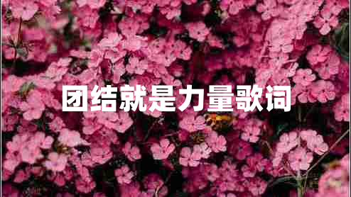 團(tuán)結(jié)就是力量歌詞